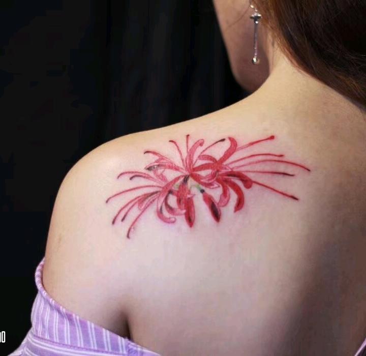 Lycoris radiata Tattoo-Vorlage