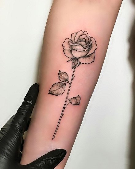 Rosen-Tattoo-Designs
